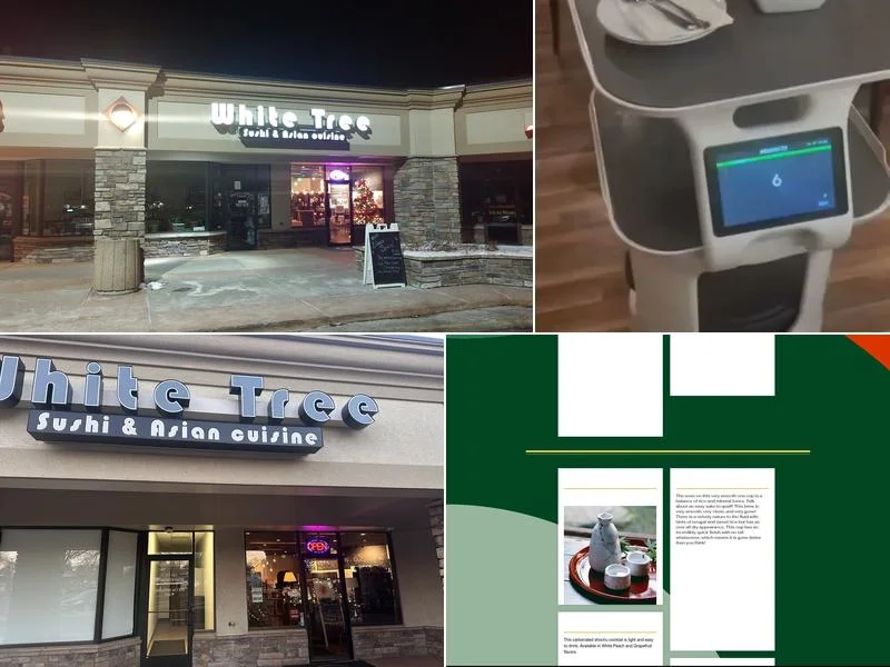 White Tree Sushi and Asian Cuisine business photo